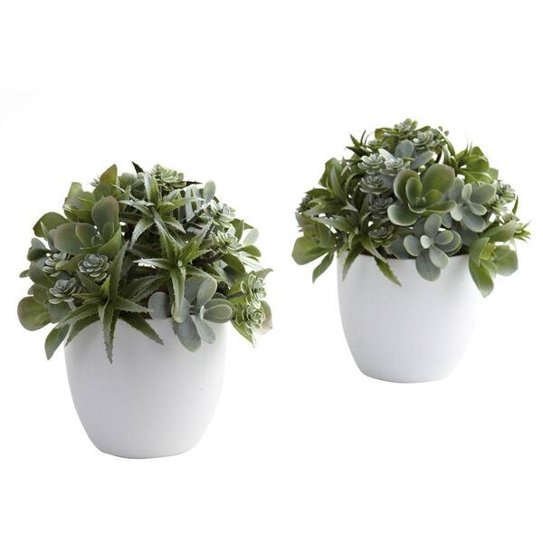 Nearly Natural Mixed Succulent with White Planter (Set of 2)