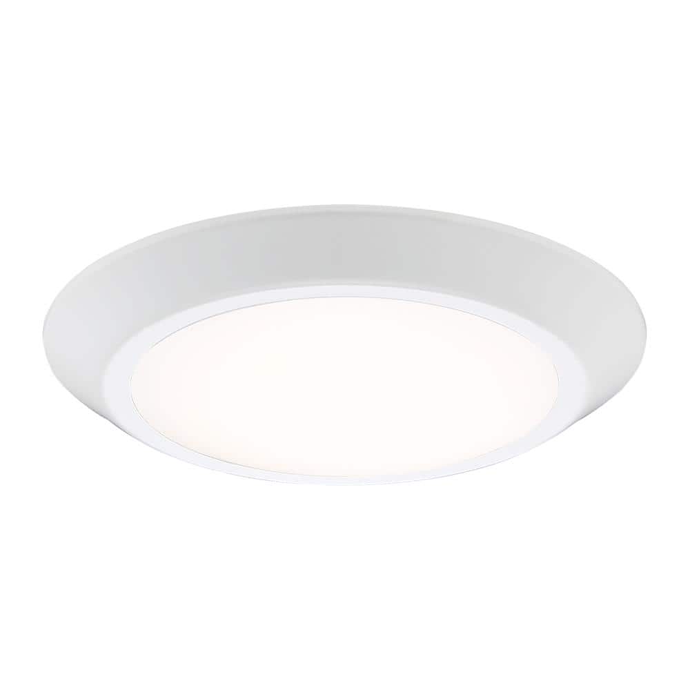 White Glass LED Indoor/Outdoor Flush Mount Light
