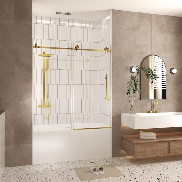 ZXDDMS 56 in.-60 in.W x 60 in.H Frameless Single Sliding Shower