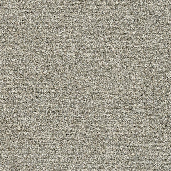 8 in. x 8 in. Texture Carpet Sample-Daylight-Color Dawn
