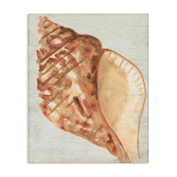 Stupell Industries Tan Conch Shell by June Erica Vess Unframed Coastal Graphic Art Print 20 in. x 16 in.