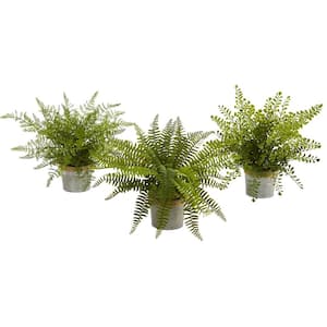 14 in. Assorted Ferns with Planter Artificial Plant (Set of 3)
