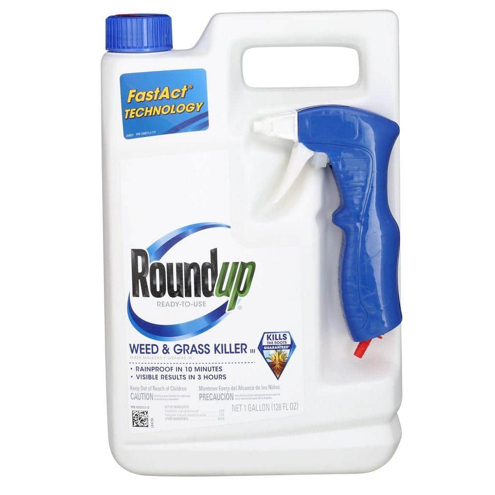 Herbicida total JED buggy glifae roundoup