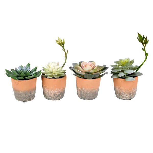 7 in. Artificial Multi-Color Succulents in Pot, (Set of 4)