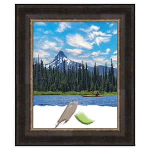 Varied Opening Size 16 in. x 20 in. Black Picture Frame