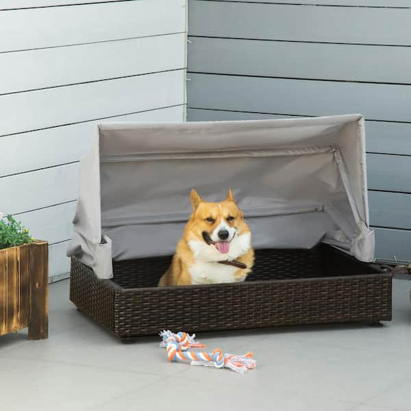 So We found a giant dog bed :D : r/corgi