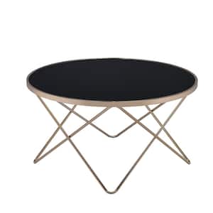 Valora 34 in. Black Glass and Champagne Round Glass Coffee Table with Smoky Glass Top
