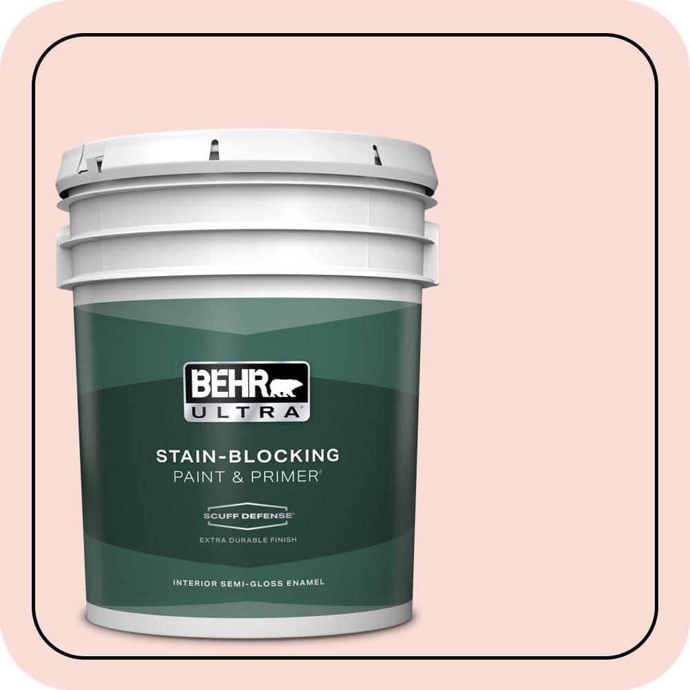5 gal. #170A-1 Pink Parfait Extra Durable Semi-Gloss Enamel Interior Paint & Primer price history on PriceWatchPro