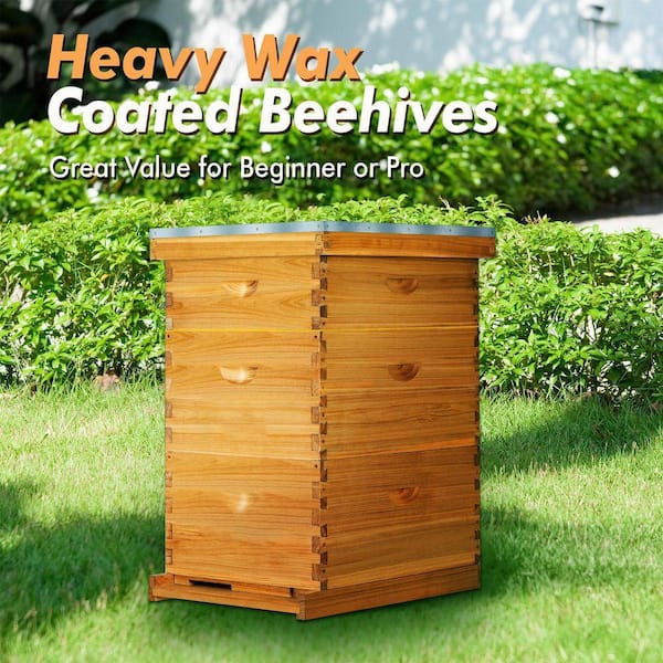 KIWDZFU 10-Frame Langstroth Bee Hive Beeswax Coated Cedarwood