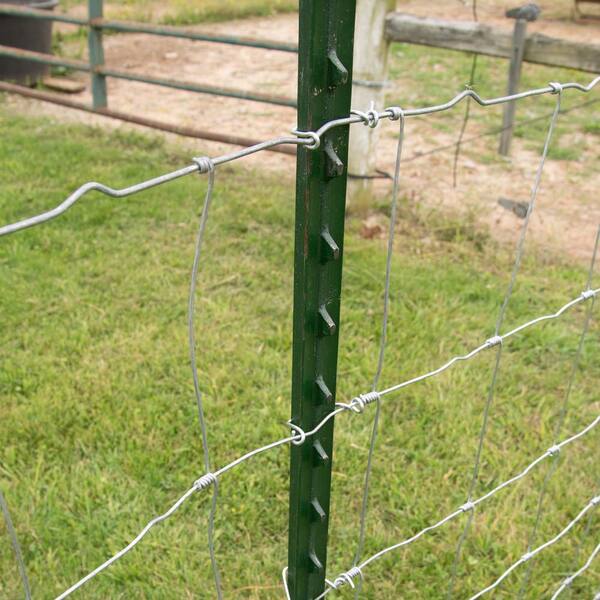 No-Rust Fencing Fabric x 6 ft x 3-1/2 in Green Steel Fence T-Post 1-3/4 in