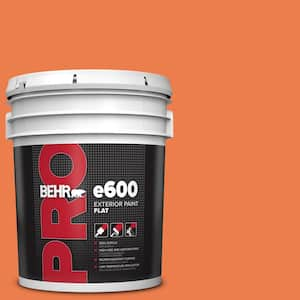 5 gal. #P200-6 Sizzling Sunset Flat Exterior Paint