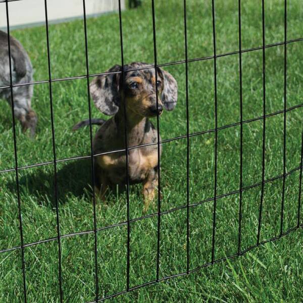 dog fence wire home depot