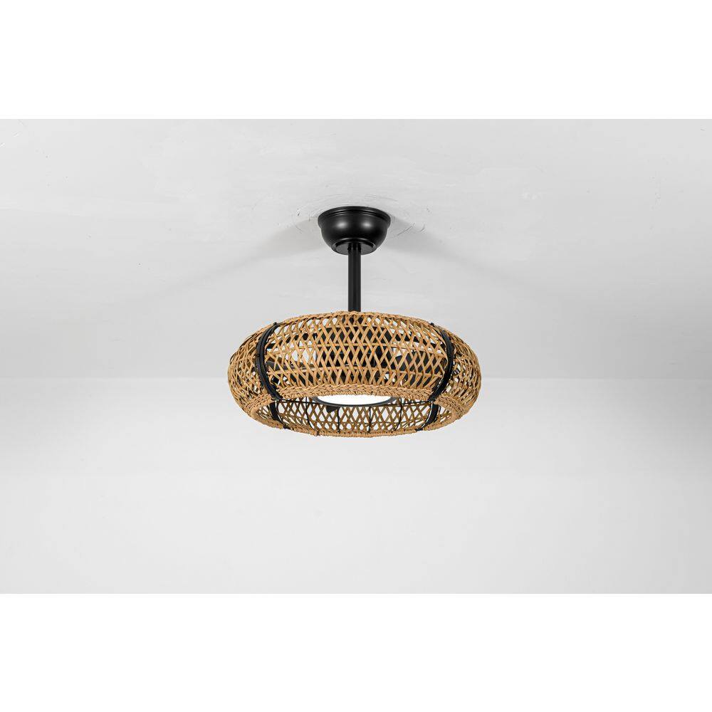 Avielle 20in, Indoor natural bamboo cage ceiling fan with 3CCT Dimmable LED, reversible silent rotation, price history on PriceWatchPro