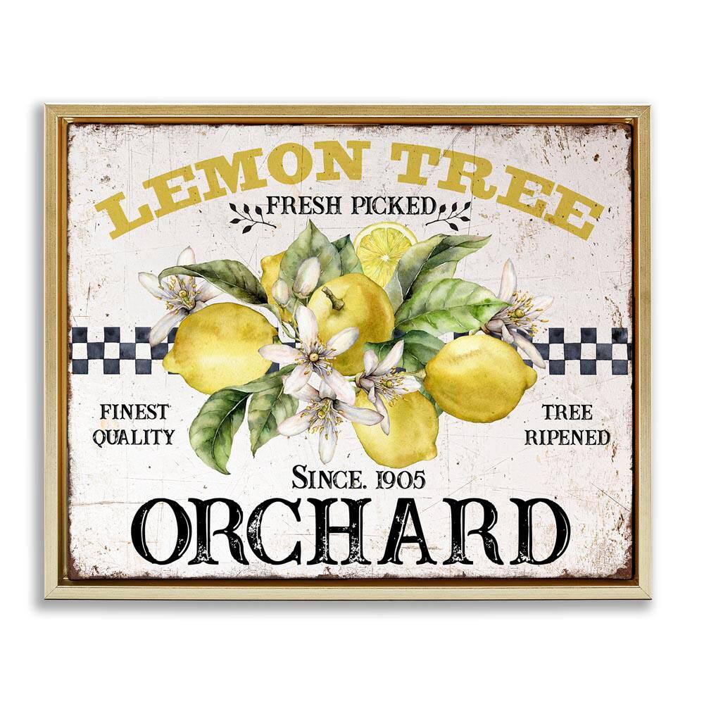 Lemon Tree Fresh Picked by Creatif Belle Gold Floater Frame Food Graphic Art Print 25 in. x 31 in. price history on PriceWatchPro