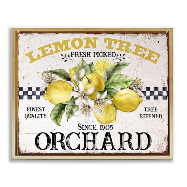 Stupell Industries Lemon Tree Fresh Picked by Creatif Belle Gold Floater Frame Food Graphic Art Print 25 in. x 31 in.