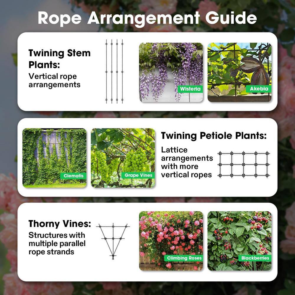98.4 ft Stainless Steel Wire Trellis Kit with 20 Holders for Climbing Plants