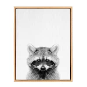 24 in. x 18 in. "Raccoon" by Tai Prints Framed Canvas Wall Art