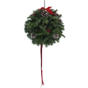 12 in. Balsam Classic Christmas Fresh Kissing Ball Arrangement : Multiple Ship Weeks Available