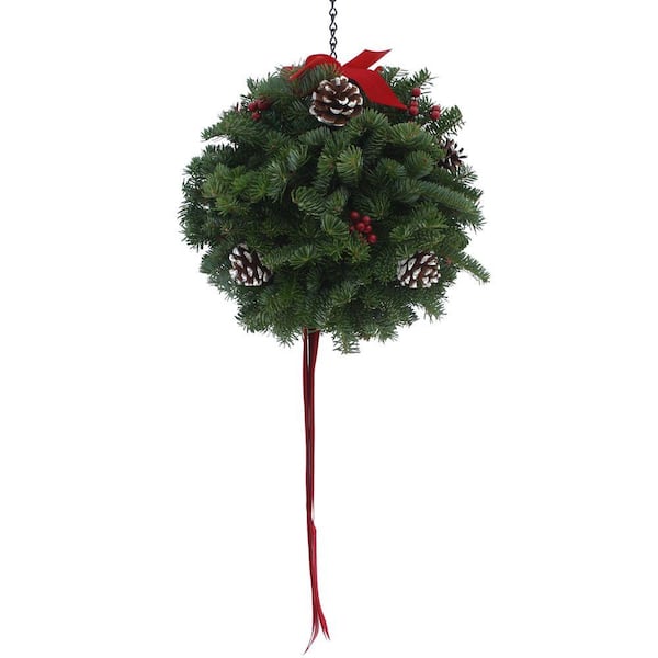 Worcester Wreath 12 in. Balsam Classic Christmas Fresh Kissing Ball Arrangement : Multiple Ship Weeks Available