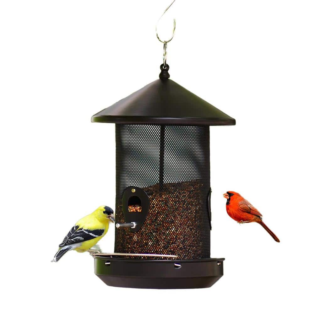 Large Black Metal Hanging Wild Bird Seed Feeder - 5 lbs. 1-Pack