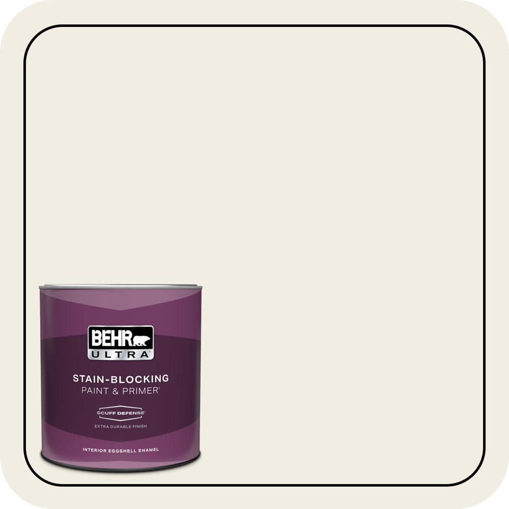 1 qt. Home Decorators Collection #HDC-WR14-1 Flurries Extra Durable Eggshell Enamel Interior Paint & Primer price history on PriceWatchPro