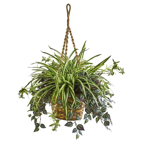 Nearly Natural Indoor Artificial 30 in. Spiderwort and Spider Plant in Hanging Basket