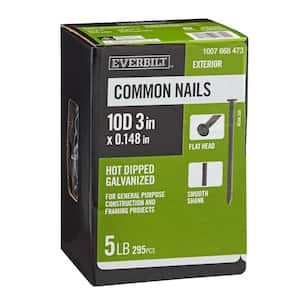 3 in. x 10D Hot Dipped Galvanized Common Nails 5 lbs. (295-Count)