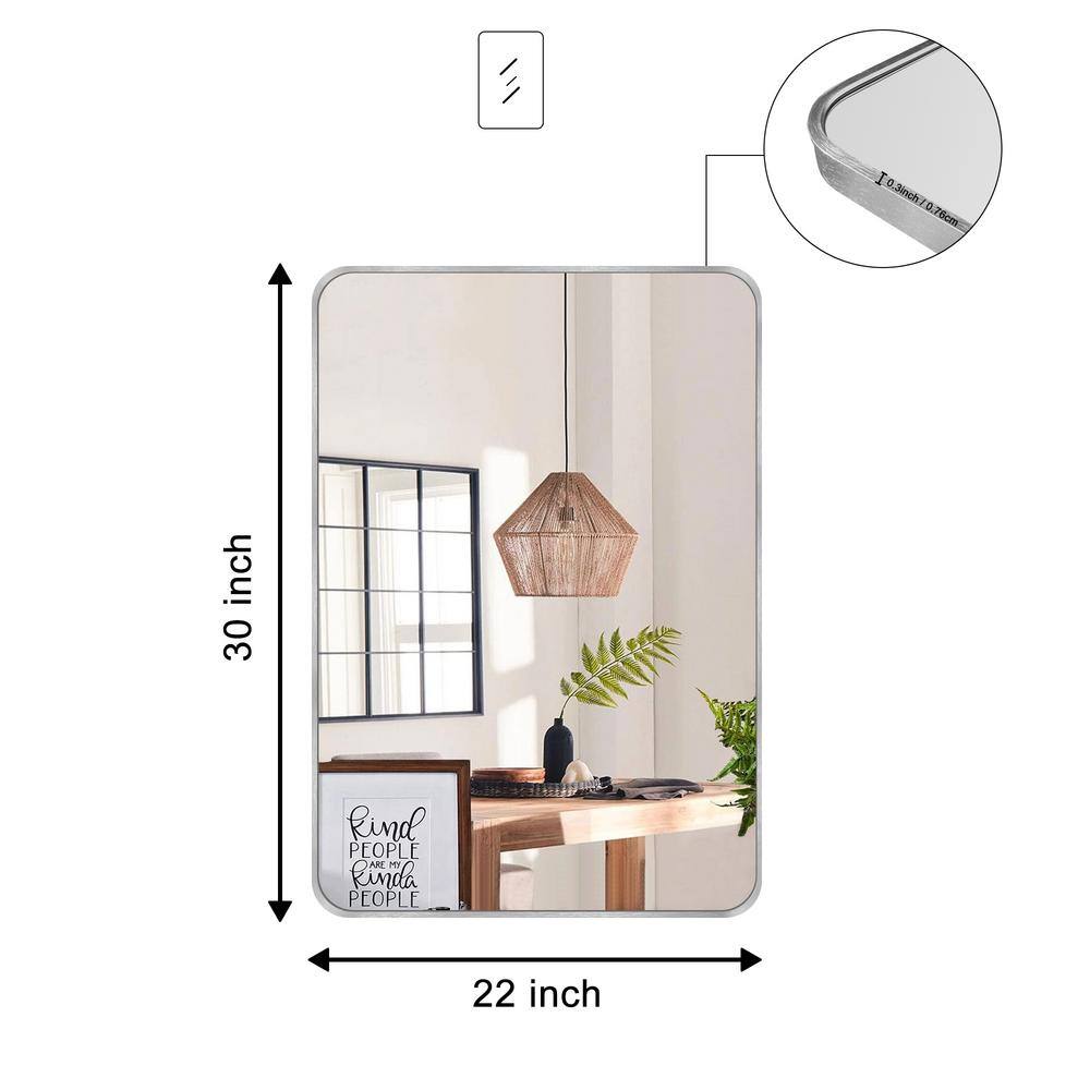 Crane Lake 22x30 Inch Silver Metal Framed Vanity Mirror