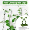 Plant Climbing Wall Clips, Invisible Plant Clips for Climbing Plants,  Adhesive Plant Clips for Potluck (110-Piecses) B08M5JQM22 - The Home Depot