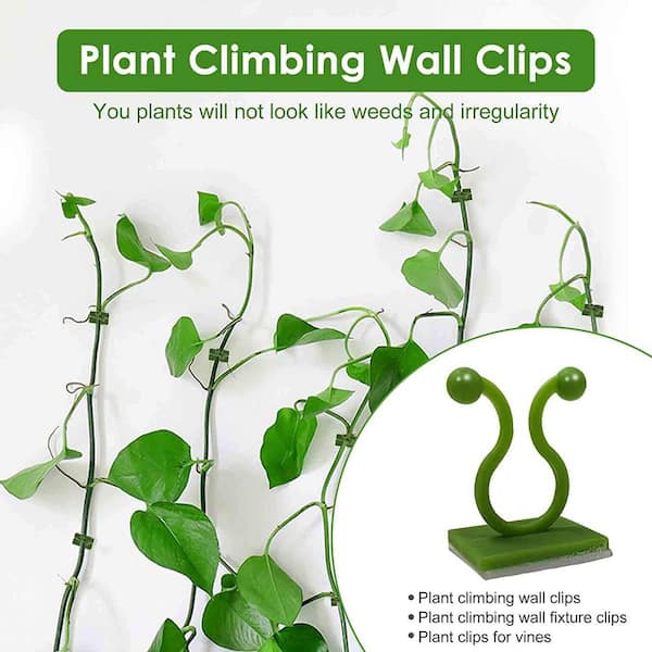 Plant Climbing Frame Plant Trellis Supporting Stick Plastic Moss Pole Indoor  Plant Pot stand Green Dill Vine Garden Accessories
