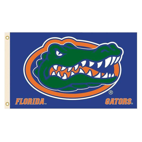 BSI Products NCAA Florida Gators 2-Sided 3 ft. x 5 ft. Flag with Grommets