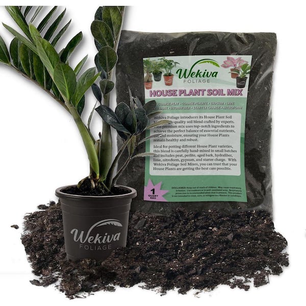 garden seeds vegetable The Complete Epic Seed Collection – Epic Gardening main image 1