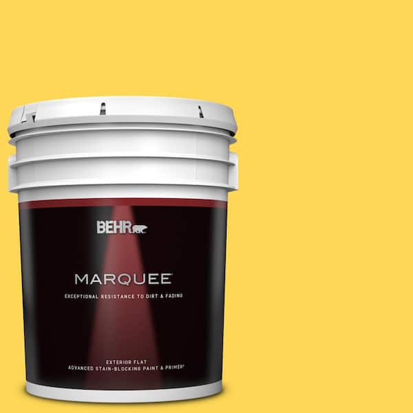 BEHR MARQUEE 5 gal. #P300-6 Buzz-In Flat Exterior Paint & Primer