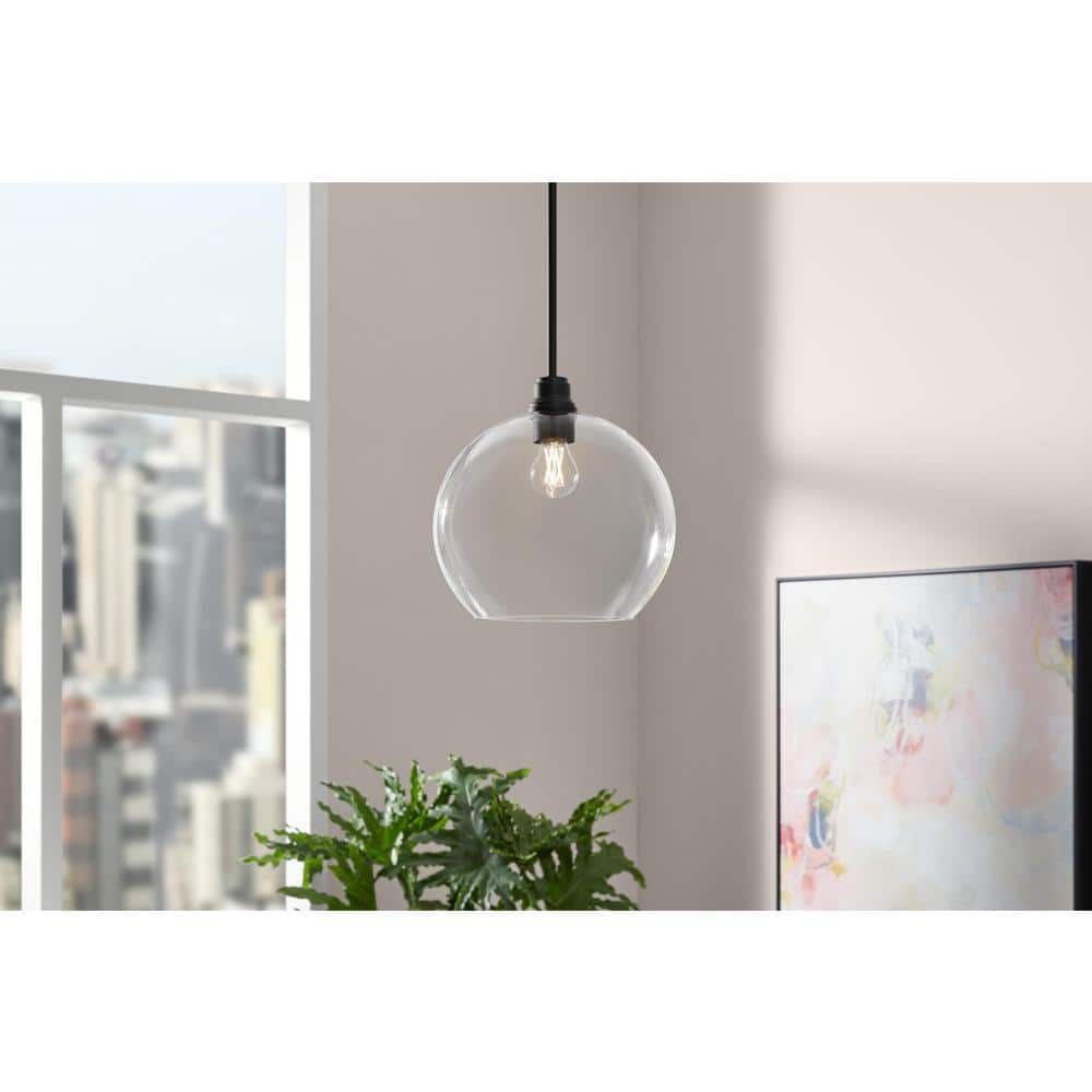 Florabelle 12 in. in. 1-Light Pendant Matte Black Clear Globe Glass Shade price history on PriceWatchPro