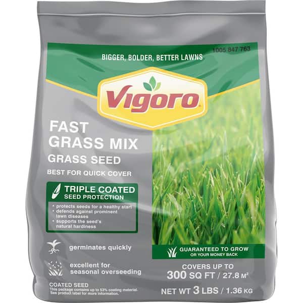 3 lbs. Fast Grass Seed Mix