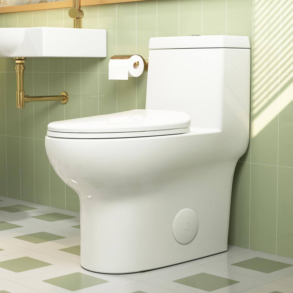 Ally White and Gold Ceramic Dual Flush Elongated Toilet
