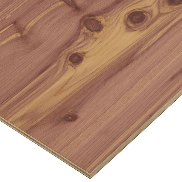 Columbia Forest Products 1/2 in. x 2 ft. x 4 ft. PureBond Aromatic Cedar Plywood Project Panel (Free Custom Cut Available)
