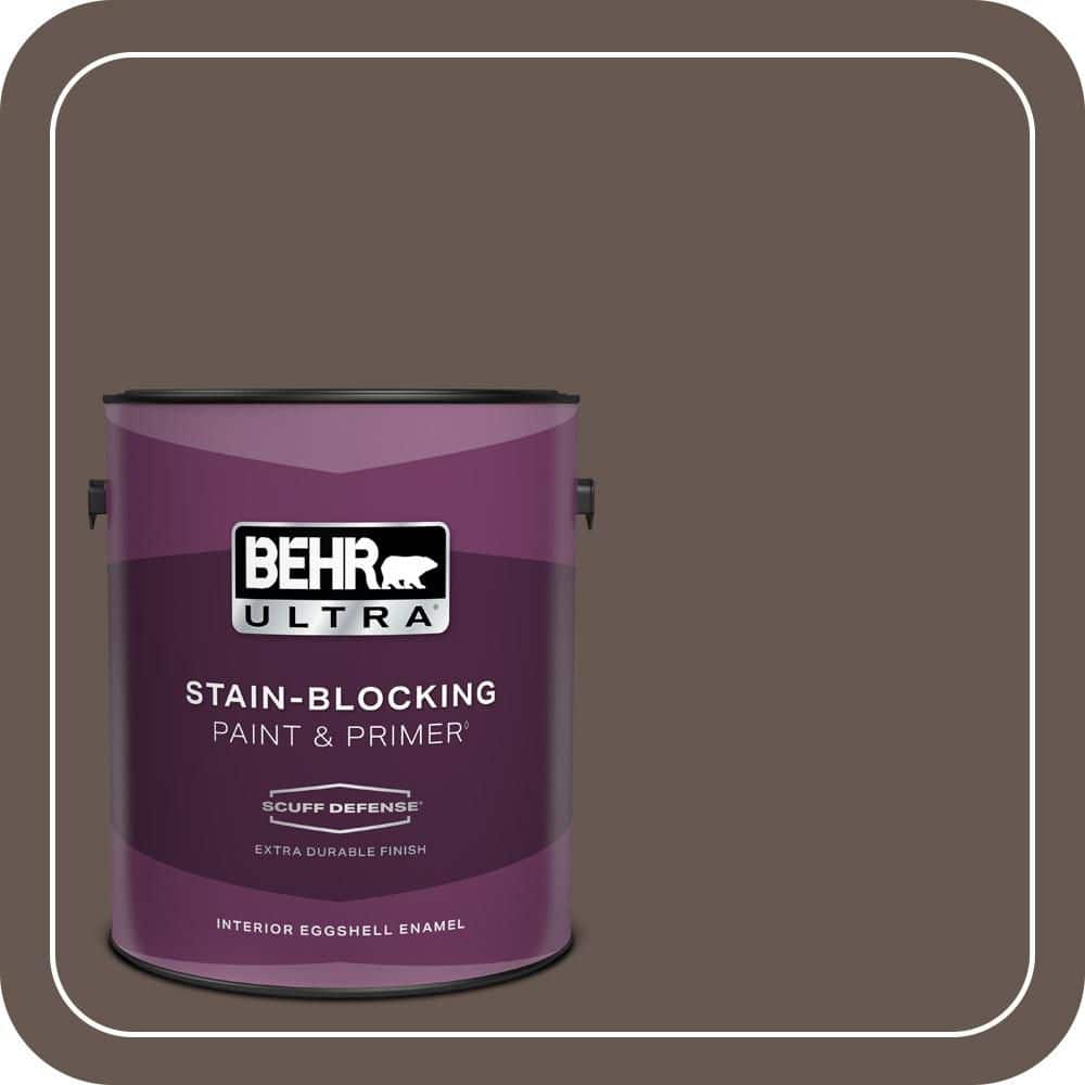 1 gal. Home Decorators Collection #HDC-FL14-10 Pine Cone Brown Extra Durable Eggshell Enamel Interior Paint & Primer price history on PriceWatchPro