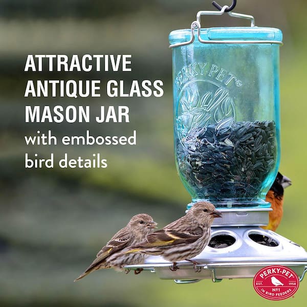 Blue Mason Jar Decorative Glass Hanging Bird Feeder - 1 lb. Capacity