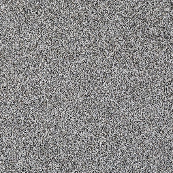 Velvetine I-Rose Brown-45 oz. SD Polyester Texture Installed Carpet