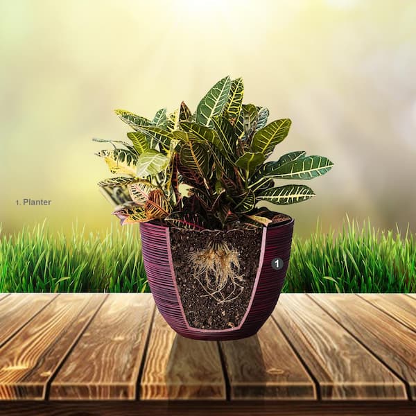 https://images.thdstatic.com/productImages/9e5bb436-d7cb-4b75-ae38-aecdc954dfdf/svn/white-xbrand-plant-pots-pl3417wt-d4_600.jpg