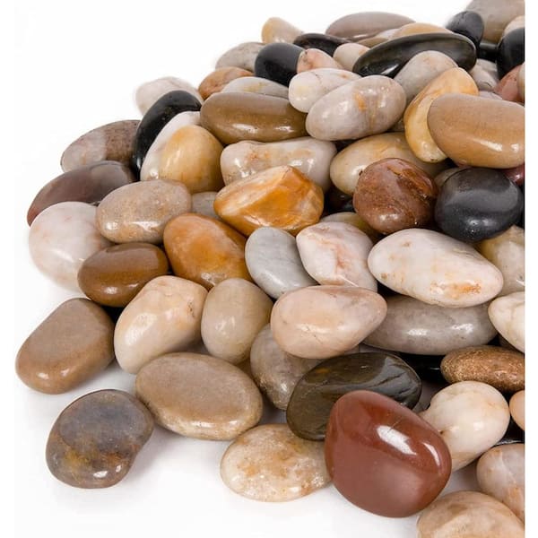 2.75 in. Medium Natural River Rocks for Plants and Garden Landscaping