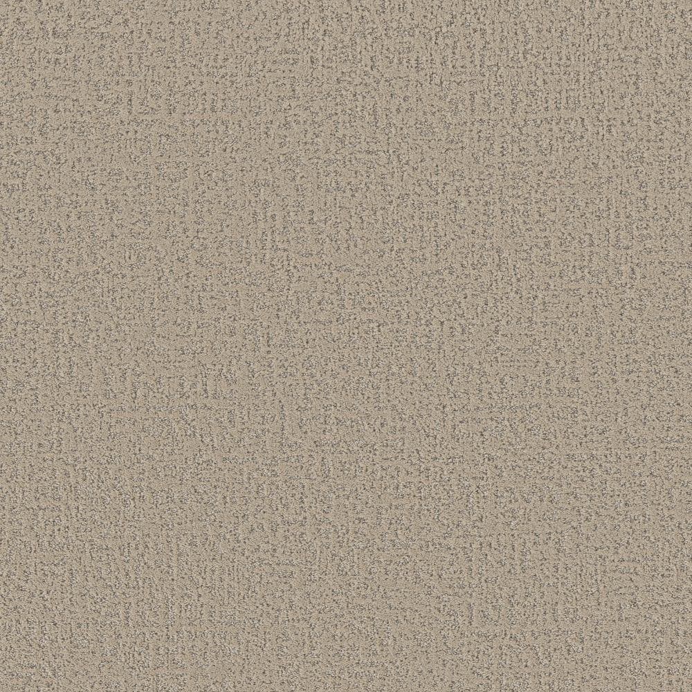 8 in. x 8 in. Pattern Carpet Sample - Love Story -Color Briarwood price history on PriceWatchPro