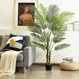5 ft. Indoor/Outdoor Decorative Phoenix Palm Tree Plant