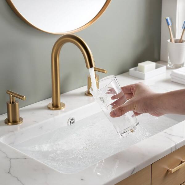 Forious pro 8 in. Widespread 2 Handle Bathroom Faucet with Pop-Up
