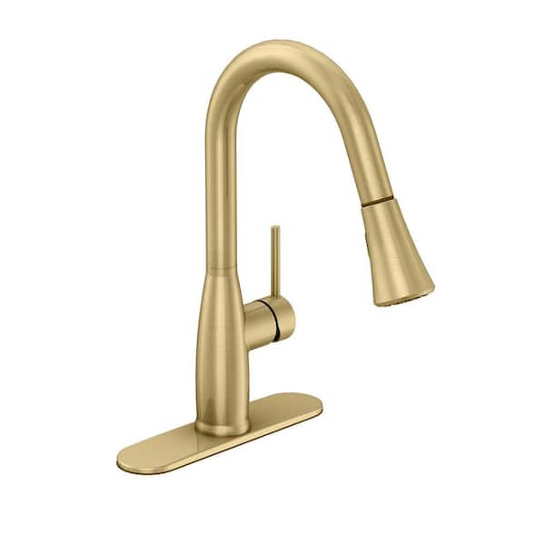 PRIVATE BRAND UNBRANDED Garrick Single-Handle Pull-Down Sprayer Kitchen Faucet in Matte Gold