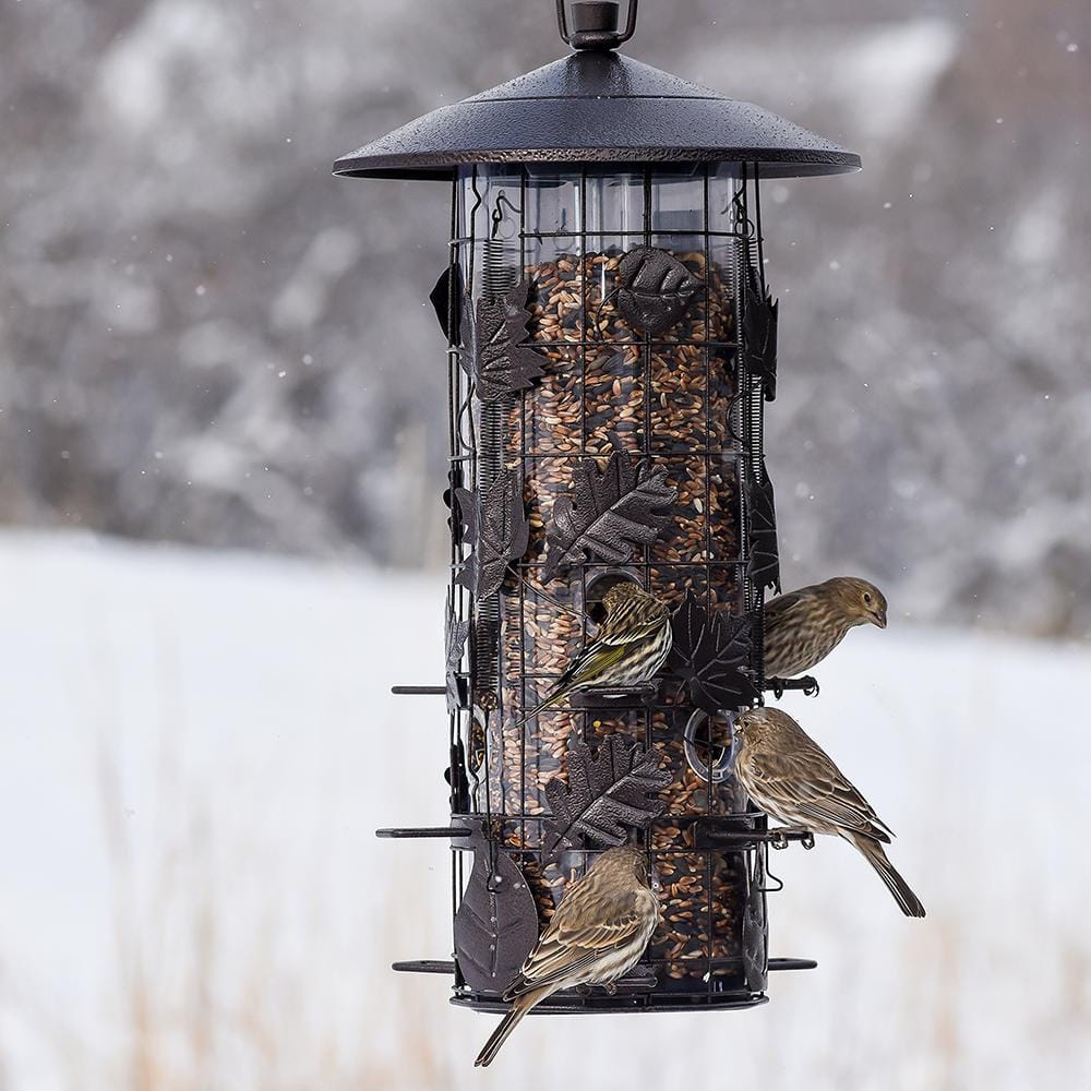 Black Metal Squirrel Resistant Hanging Tube Bird Feeder