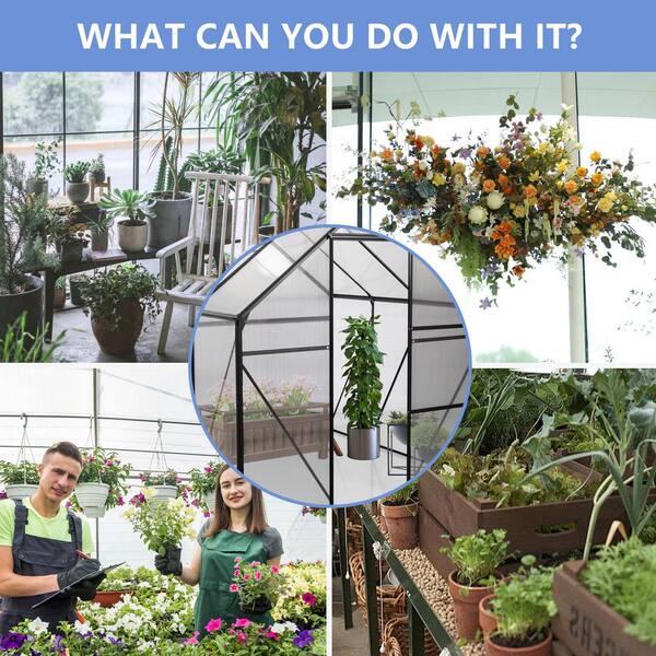 Unbranded - 6 ft. x 6 ft. Outdoor Polycarbonate Heavy Duty Walk-In Greenhouse w/ Elevated Base and Anchored Aluminum for All Seasons