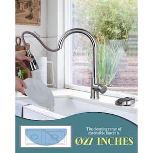 Single-Handle Pull Down Sprayer Kitchen Faucet with Glass Rinser Combo in Brushed Nickel