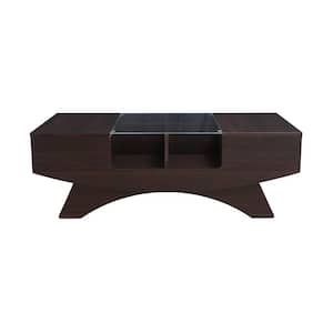 Montannah 47 in. Walnut Rectangle Glass Top Coffee Table with Storage